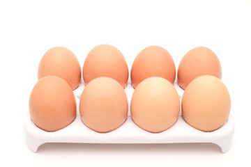 egg in clear plastic tray on white background
