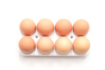 egg in clear plastic tray on white background