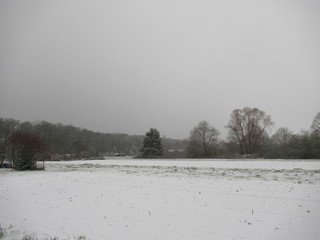 Feld im Winter