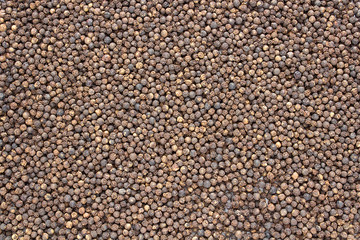 Black Pepper (Piper nigrum). Spice, seasoning, food supplement. Promotes digestion and improves appetite. Add to your diet. Background image.