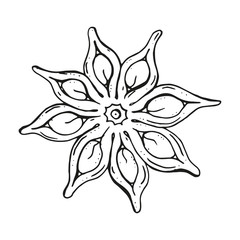 isolated seasoning star anise on white background