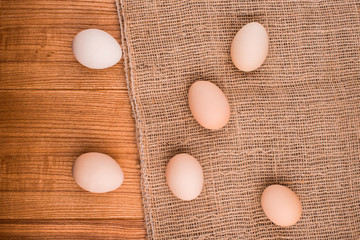  chicken eggs closeup.