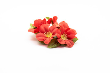 Artificial red flowers isolated