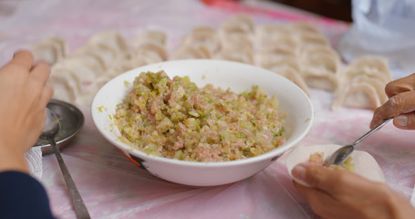 Homemade meat dumpling