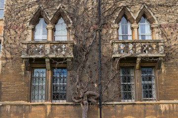 Fototapeta na wymiar Detail architecture in Oxford City