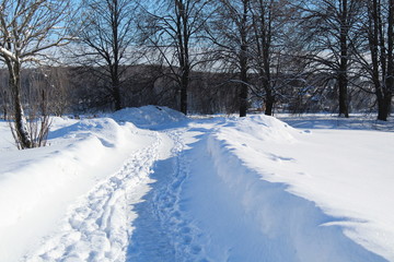 Obraz premium road in winter forest