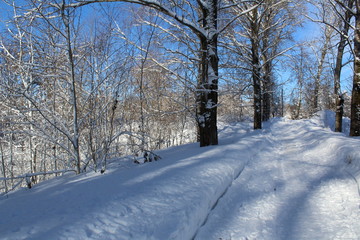 snowy road in winter forest