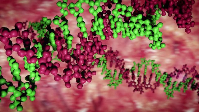 DNA close-up, DNA Molecule Model, DNA Strands, DNA animation