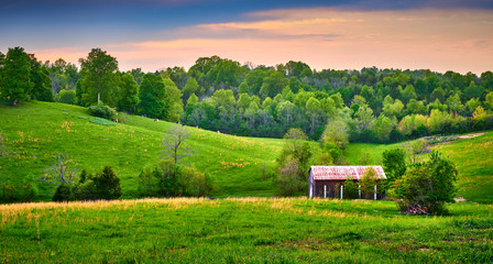 Barn with Cows Grazing on Hillside