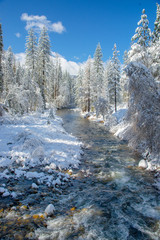 The Merced River as it flows through the hamlet of Wawona, Ca in mid-winter