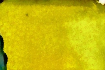 High quality detailed close up texture. Macro background in oil. Dry strokes of brush. Amazing beauty backdrop. Perfect pattern in vintage painting style.