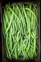 Green beans from the orchard placed on the front of the Bowl.