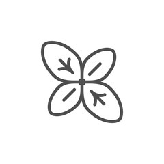 Fototapeta premium Basil line icon