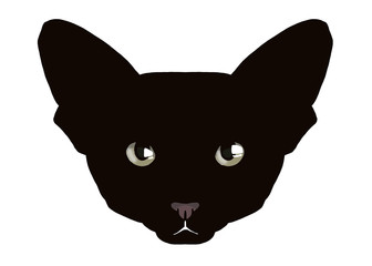 black oriental cat head