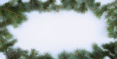 Image of branch of Christmas tree on white background.