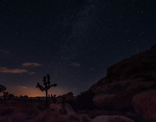 Nightime at Joshua Tree