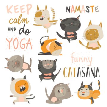 Set of cute cats in yoga asana postures