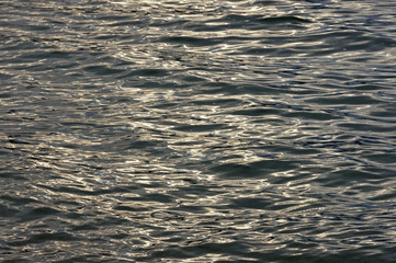 The natural texture of calm sea water, illuminated by the evening sun