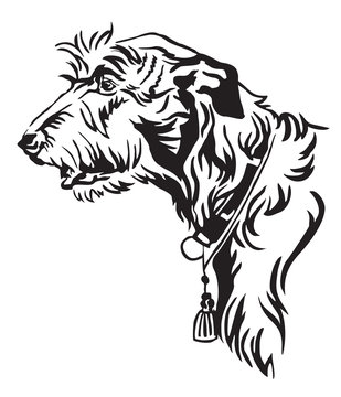 Decorative portrait of Dog Irish Wolfhound vector illustration