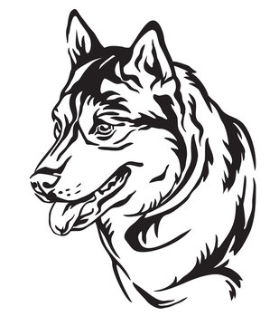 Decorative portrait of Dog Siberian Husky vector illustration