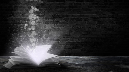 The book is open, magical glow, rays of light. 
