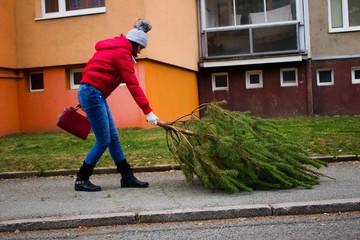 Christmas is over,A woman with a red handbag and a jacket pulls a pine tree to the container. The...
