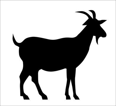 Goat Silhouette Images – Browse 28,602 Stock Photos, Vectors, and Video |  Adobe Stock