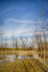 Bergantino (RO) - Italy