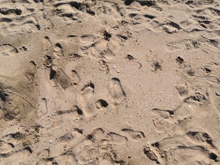 sand with foot prints of people, children, the background of natural tranquillity.  summer trip