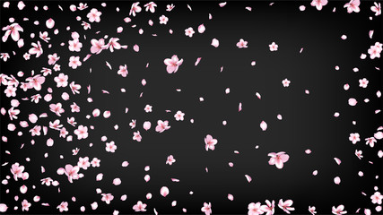 Nice Sakura Blossom Isolated Vector. Magic Flying 3d Petals Wedding Texture. Japanese Bokeh Flowers Wallpaper. Valentine, Mother's Day Spring Nice Sakura Blossom Isolated on Black