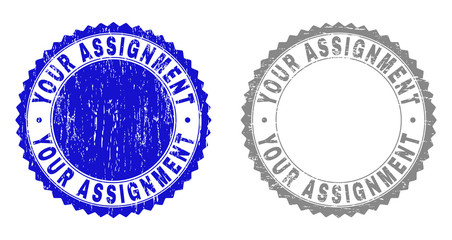 Grunge YOUR ASSIGNMENT stamp seals isolated on a white background. Rosette seals with grunge texture in blue and grey colors. Vector rubber overlay of YOUR ASSIGNMENT caption inside round rosette.