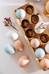 Natural Colored Eggs in wooden egg box and flowers with sunlights. Stylish Compositions in pastel colors.  Eco concept.