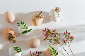 Natural Colored Eggs decorated with flowers in morning sunlights. Stylish minimal Compositions in pastel colors.  Easter concept.