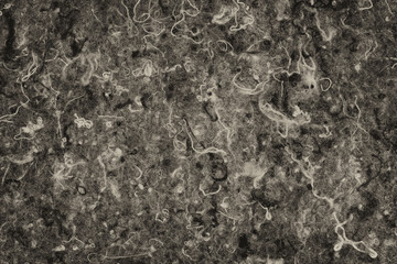 Abstract hairy texture