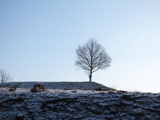Polskie krajobrazy zima.