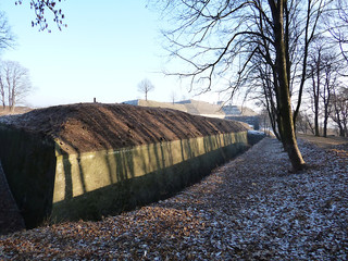 Polskie krajobrazy zima.