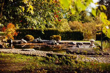 autumn, tree, forest, nature, fall, landscape, trees, park, water, green, river, grass, wood, leaves, sky, pond, lake, rural, beautiful, yellow, season, leaf, countryside, summer, blue