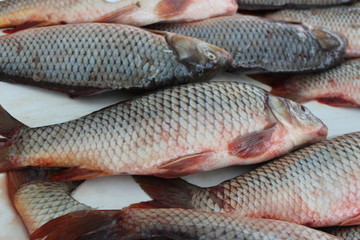 Obraz premium Carp from the lake, for cooking and soup, baked in the oven