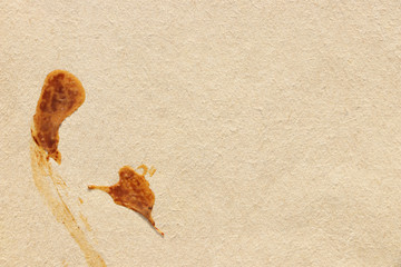 Blank dirty cardboard and paper background. The texture of the surface of old cardboard in stains and the blank background of the old book sheet. Empty template and mockup for designers.