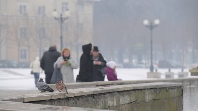 People in the winter on the waterfront