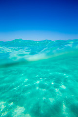 Tranquil underwater scene with copy space
