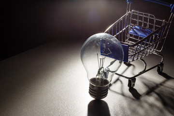 Buy the Light. Shopping cart with light bulb.