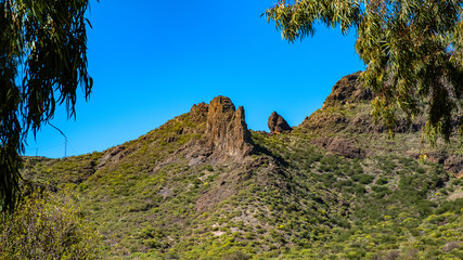 In Santiago del Teide am Fuße des Vulkans Teide nordwestlich des Teno Gebirges erwartet Dich eine einzigartige Landschaft. Es gibt zahllose Wanderwege, an denen Palmen, Kakteen sowie Agaven wachsen. 