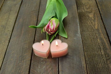 candles and tulip