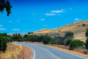 Curvy road leading through the dry hills of Western Australia