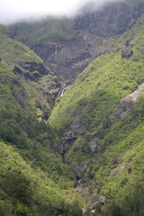 Obraz premium Au coeur d'une foret