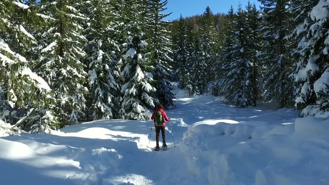video 4k - escursione con le ciaspole nel bosco