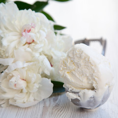 Ice cream in ice cream scoop with white peony blossom flowers, close-up. Summer concept.