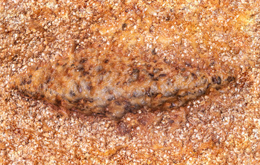 Texture of crust bread seamless pattern. Tasty fresh bread, close up. Macro of a french loaf...