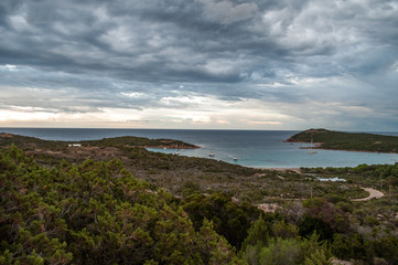 A wooded bay with a small beach on the island of Corsica